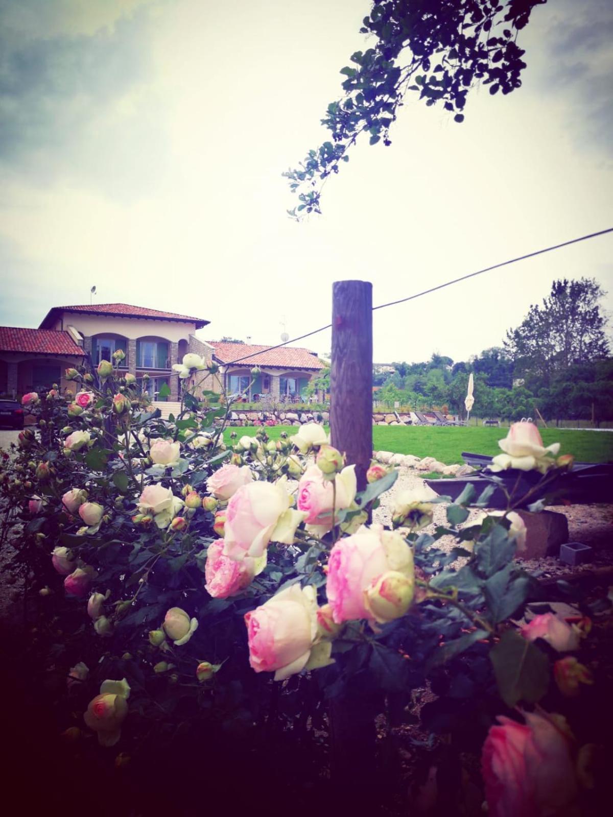 Bed and Breakfast Orchidea Del Garda Песк'єра-дель-Гарда Екстер'єр фото